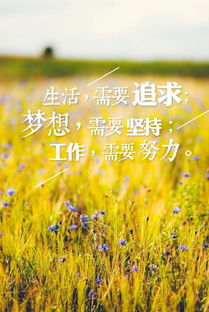 早晨正能量簡(jiǎn)潔句子