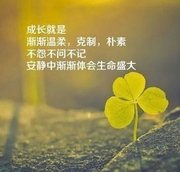寫(xiě)一些早安正能量的句子