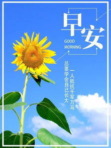 早安正能量的句子朋友圈,早安正能量的句子經(jīng)典語(yǔ)句,形容早安正能量的句子