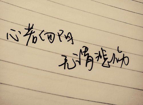 冷笑,句子,能量