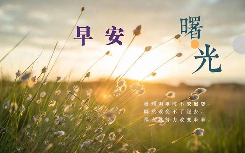 關(guān)于選擇的正能量句子