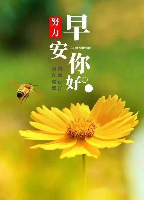 陽(yáng)光心態(tài)正能量的句子簡(jiǎn)短