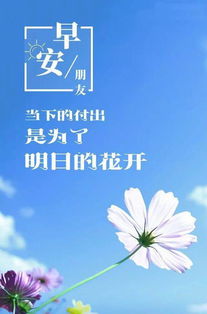 工作鼓勵的句子正能量,工作鼓勵員工句子正能量,鼓勵別人工作的句子正能量