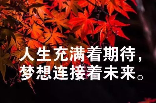 2021學(xué)生奮斗正能量勵志句子