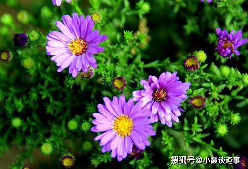 贊美傳播正能量的句子,學(xué)校傳播正能量的句子,關(guān)于傳播正能量,熱愛(ài)祖國的句子