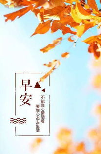 早安正能量大句子