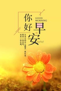 做人正能量的句子經(jīng)典語(yǔ)句早安