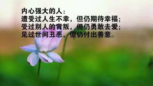 簡(jiǎn)單感恩勵志正能量的句子,感恩老師勵志正能量的句子,感恩公司勵志正能量的句子