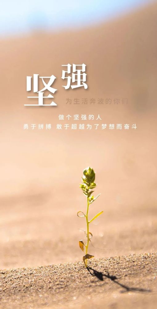 工作勵志的句子正能量朋友圈,早上好勵志正能量朋友圈句子大全,早安勵志正能量的句子朋友圈