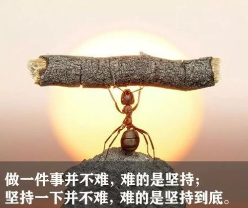 正能量愛(ài)情句子張愛(ài)玲