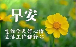 充滿(mǎn)陽(yáng)光的句子正能量早安的句子高考,早上的問(wèn)候句,充滿(mǎn)陽(yáng)光的句子正能量的句子英文,充滿(mǎn)陽(yáng)光的句子正能量的句子