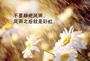滿(mǎn)滿(mǎn)正能量的英文句子