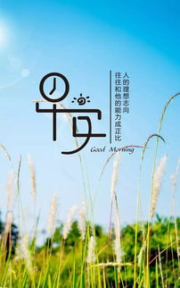 2021早安心語(yǔ)正能量勵志句子,勵志早安心語(yǔ)正能量短句,2020勵志早安心語(yǔ)正能量