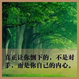工作充滿(mǎn)正能量的句子簡(jiǎn)短,工作充滿(mǎn)積極正能量的句子,工作受委屈充滿(mǎn)正能量的句子