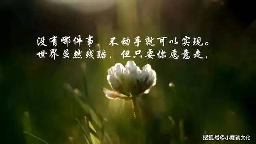 說(shuō)過(guò),句子,能量