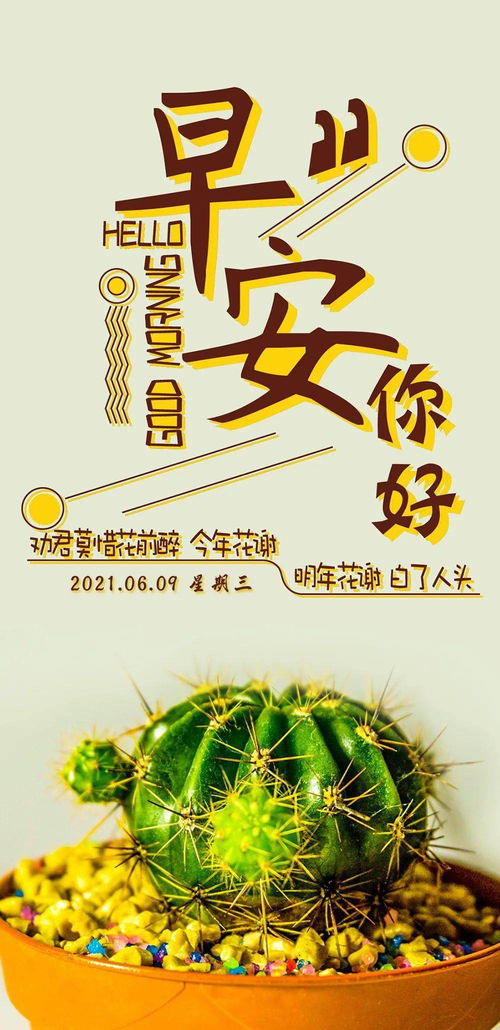 關(guān)于黨的正能量句子,黨的正能量句子勵志短句子,有關(guān)黨的積極正能量的句子