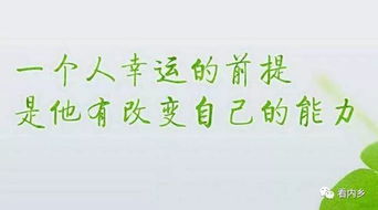 句子,能量,傳遞,健康