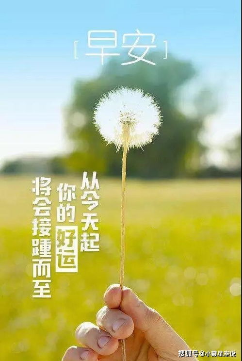 夸別人正能量的句子經(jīng)典語(yǔ)句,夸男人正能量的句子,夸女人正能量的句子
