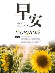 給愛人正能量句子