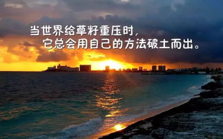 發(fā)朋友圈工作正能量的句子,朋友圈積極工作正能量的句子,朋友圈正能量句子大全唯美