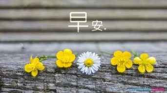 100條早安心語(yǔ)正能量句子