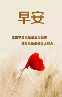 早上問(wèn)候正能量句子在哪里找,早上問(wèn)候正能量的句子,女人早上問(wèn)候正能量句子