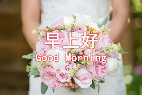 對女朋友說(shuō)早上好的句子正能量