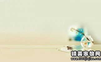 描寫(xiě)正能量心里的句子