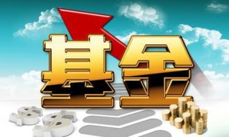 購買(mǎi)基金進(jìn)入什么會(huì )計科目
