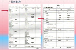 籌資業(yè)務(wù)會(huì )計科目及明細科目表,籌資業(yè)務(wù)會(huì )計科目的設置,籌資業(yè)務(wù)會(huì )計科目的設計