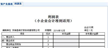 小企業(yè),會(huì )計準則,會(huì )計科目
