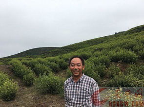 員工出游會(huì )計科目