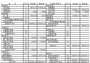 非營(yíng)利會(huì)計(jì)科目匯總表