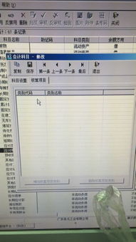 做什么,會(huì )計科目,項目,系統