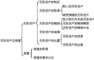 契稅應當在哪個(gè)會(huì )計科目核算