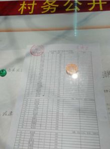 向貧困戶(hù)分紅會(huì )計科目