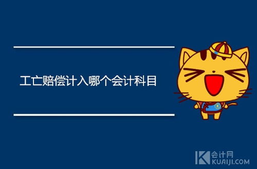 個(gè)人繳納社保會(huì )計科目,社保放哪個(gè)會(huì )計科目,社保個(gè)人部分會(huì )計科目