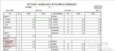 專(zhuān)業(yè)合作社賬務(wù)會(huì )計科目