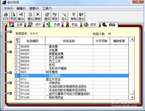 用友怎么增加會(huì )計科目明細,用友u8增加會(huì )計科目,用友T3如何增加一級會(huì )計科目