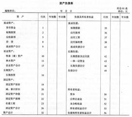 集體經(jīng)濟,會(huì )計科目,農村,組織