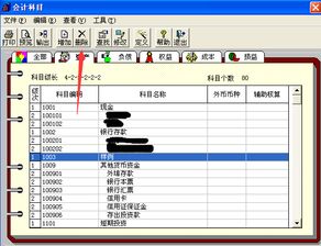 用友臺會計(jì)科目查詢的權(quán)限