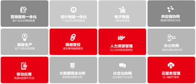u8會(huì )計科目模糊查詢(xún)