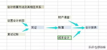 會(huì )計科目,財務(wù),設置