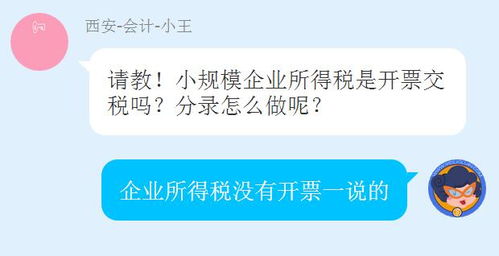小規(guī)模企業(yè)所得稅會(huì)計(jì)科目
