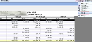 u8中會(huì )計科目