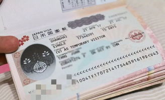 簽證費計入什么會(huì )計科目,工程簽證費計入什么會(huì )計科目,APEC簽證費屬于哪個(gè)會(huì )計科目