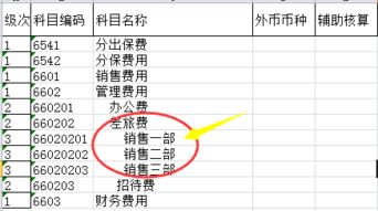 只有把會(huì )計科目設置為輔助核算