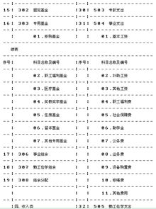 學(xué)校常用會(huì )計科目和分錄,學(xué)校賬務(wù)處理會(huì )計科目,民營(yíng)學(xué)校會(huì )計科目