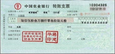 支票,會(huì )計科目