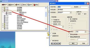 單位可以設置一級會(huì )計科目